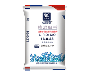 五洲豐優而泰